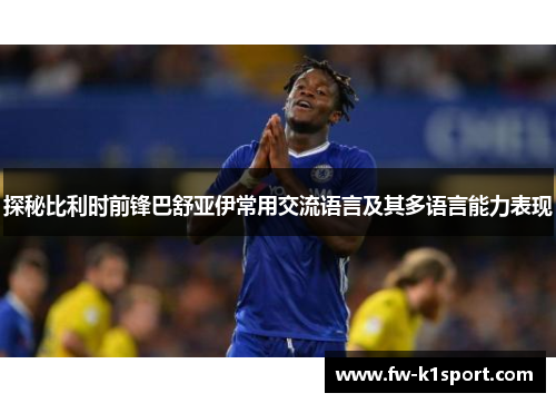 探秘比利时前锋巴舒亚伊常用交流语言及其多语言能力表现